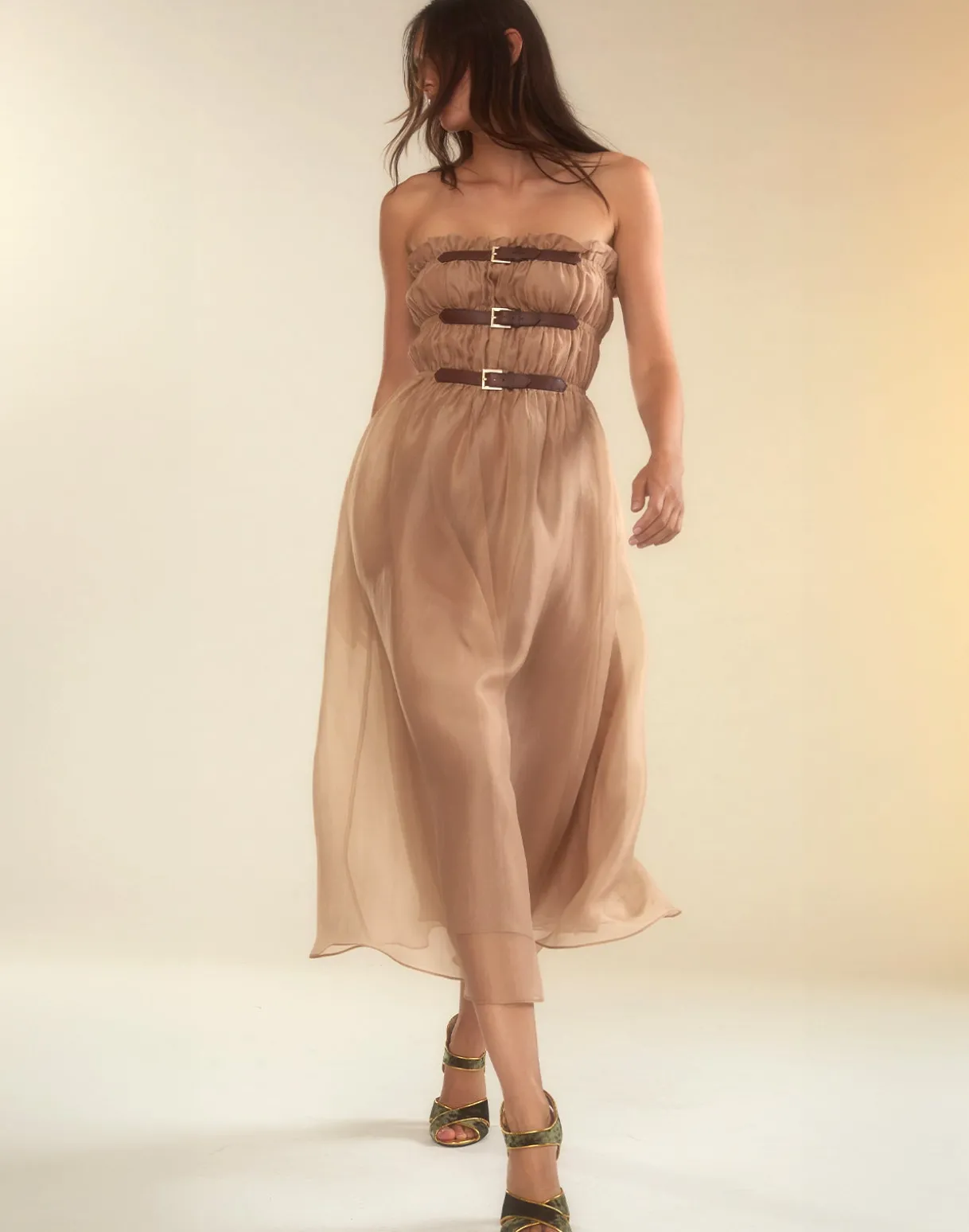 Buckle Up Silk Organza Dress