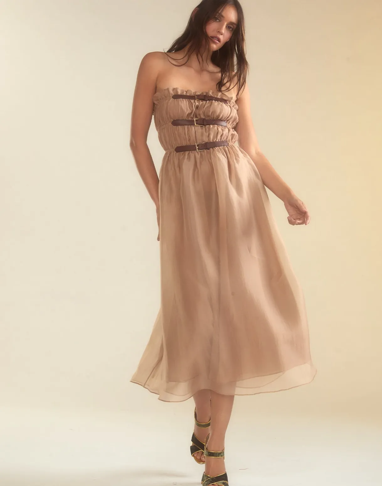 Buckle Up Silk Organza Dress