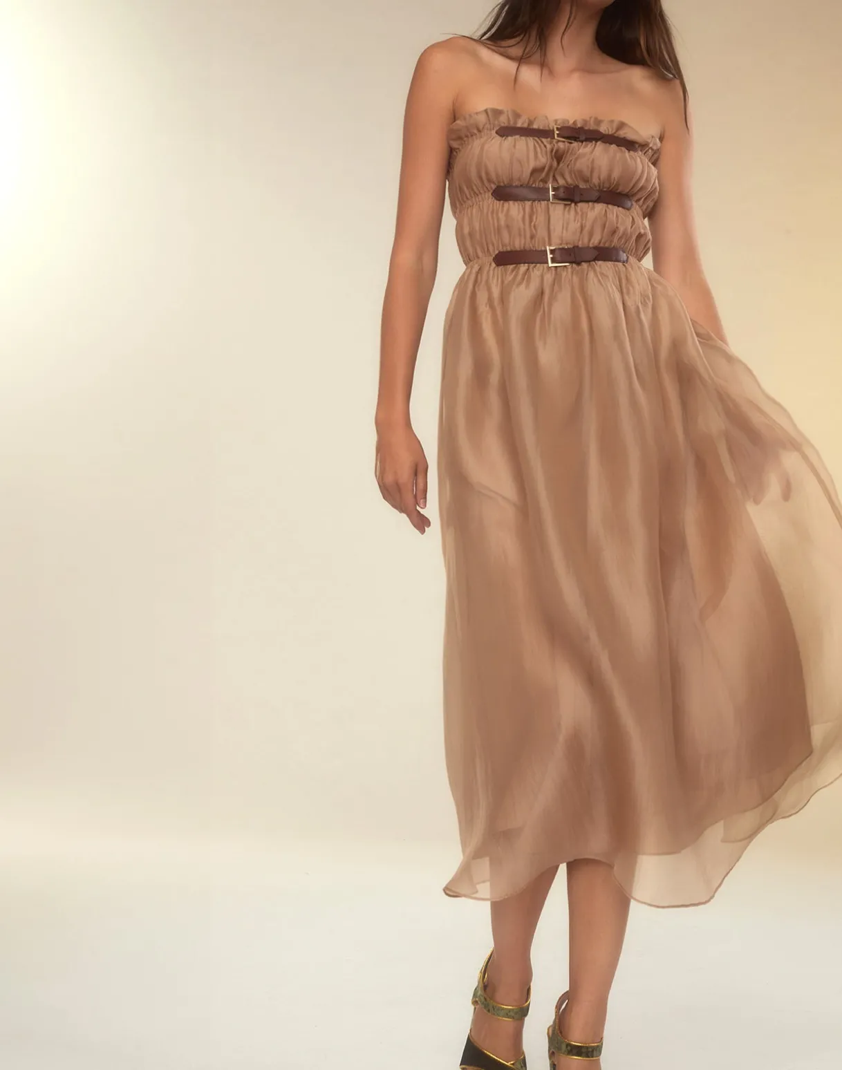 Buckle Up Silk Organza Dress