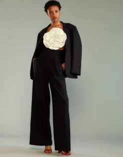 Corset Waist Pants