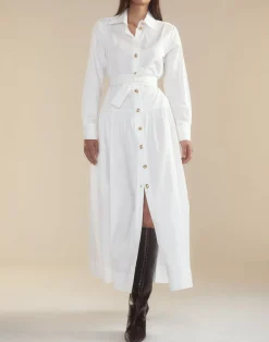 Perennial Shirt Dress