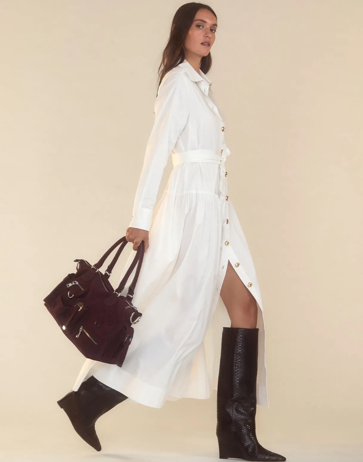 Perennial Shirt Dress
