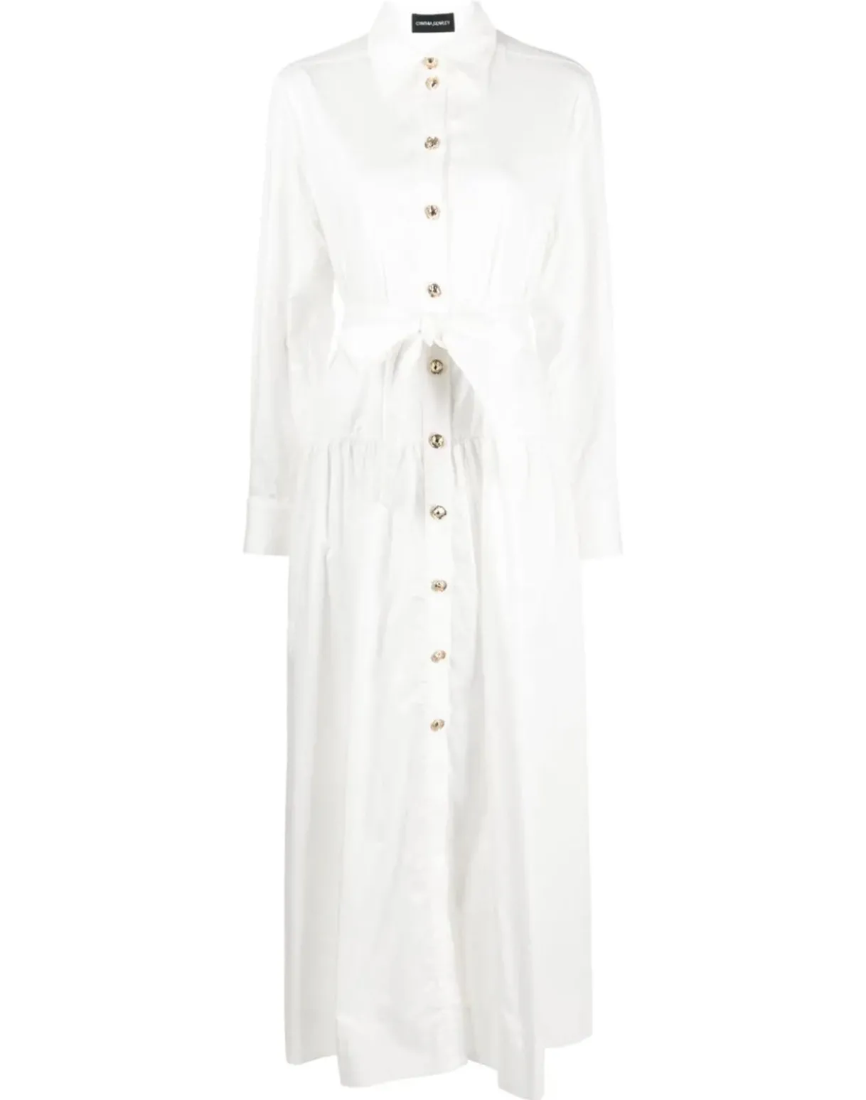 Perennial Shirt Dress
